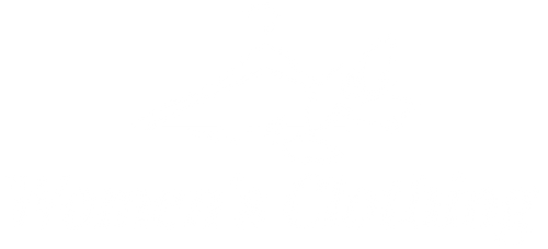 Trendy Fly Threads
